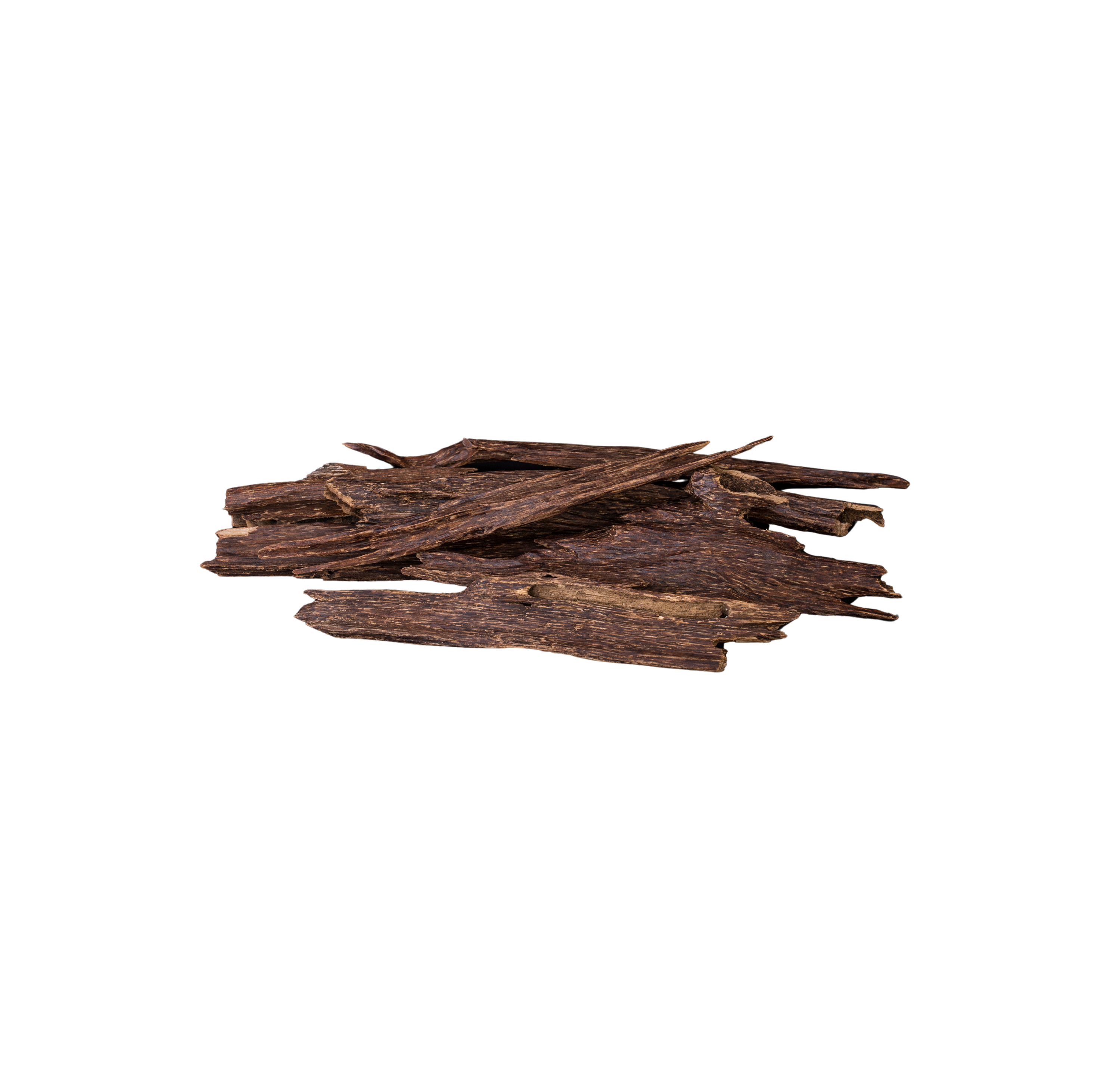 Oud